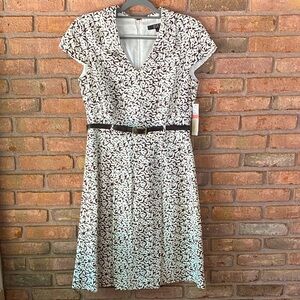 Alex Marie Brown and White A-Line Midi Dress Size 8 NWT